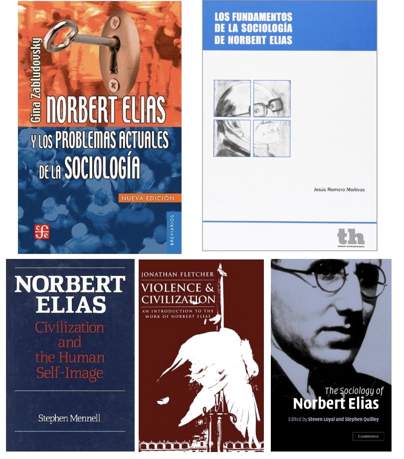 𝗦𝗼𝗯𝗿𝗲 𝗡𝗼𝗿𝗯𝗲𝗿𝘁 𝗘𝗹𝗶𝗮𝘀

Estos libros ofrecen resúmenes, comentarios y evaluaciones de la obra de Elias y sus contribuciones a la sociología.