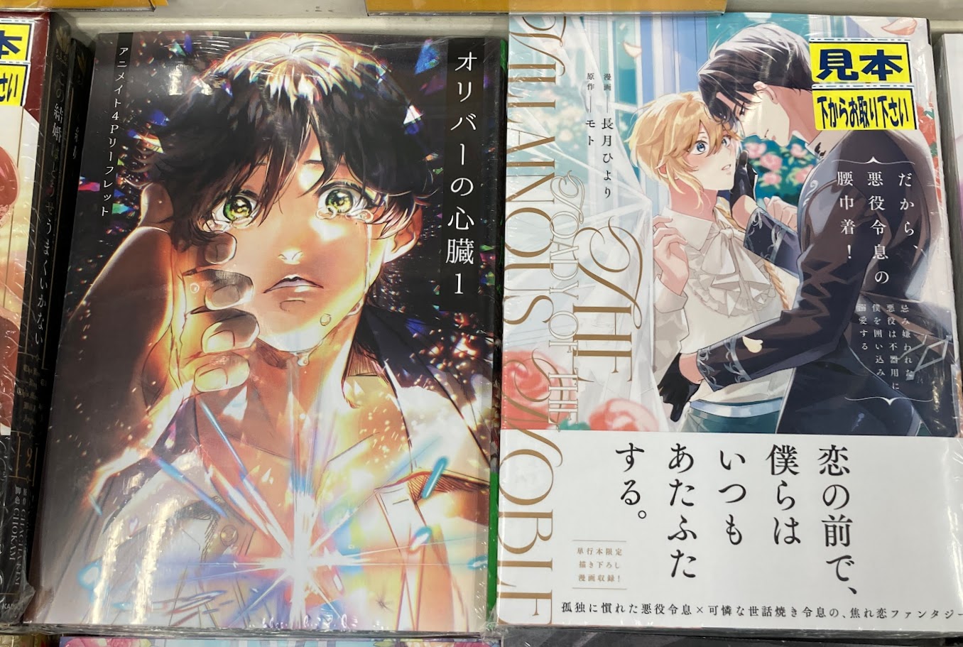 アニメイト ビジュアルボード ・ リーフレット 特典 A4 ビジュアルボード アンソロジー アニメイト ぼっち・ざ