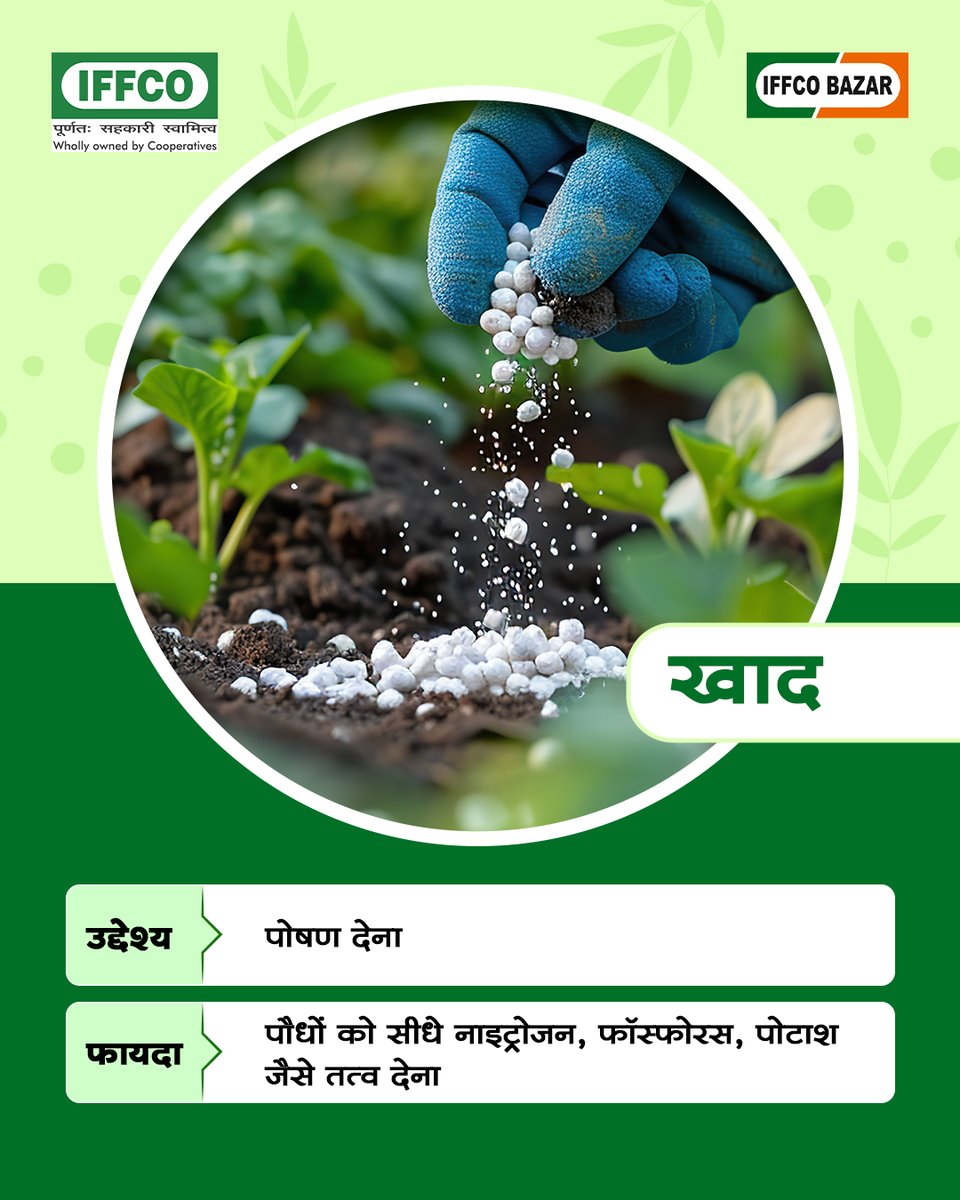 Sagarika_iffco's tweet image. उर्वरक बढ़ाए ताक़त, कीटनाशक दे सुरक्षा, बायोस्टिमुलेंट बढ़ाए जीवन। 
फर्क जानिए, खेती में समझदारी अपनाइए!

#PestProtection #Biostimulants #SmartFarming #AgriculturalTips #SustainableAgriculture #FarmManagement