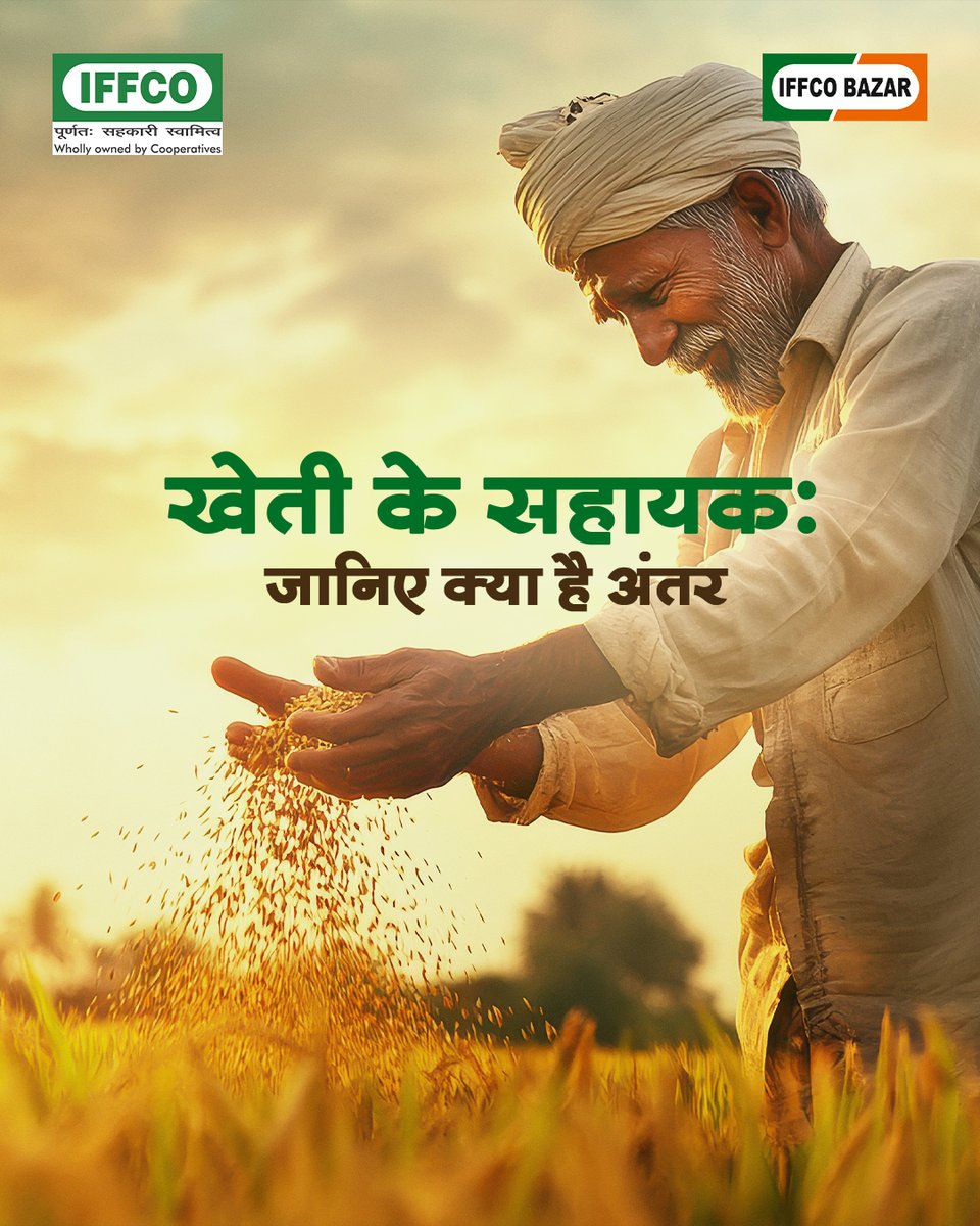 Sagarika_iffco's tweet image. उर्वरक बढ़ाए ताक़त, कीटनाशक दे सुरक्षा, बायोस्टिमुलेंट बढ़ाए जीवन। 
फर्क जानिए, खेती में समझदारी अपनाइए!

#PestProtection #Biostimulants #SmartFarming #AgriculturalTips #SustainableAgriculture #FarmManagement