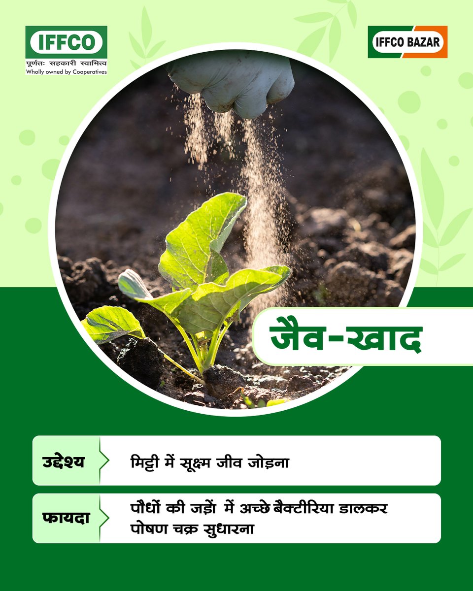Sagarika_iffco's tweet image. उर्वरक बढ़ाए ताक़त, कीटनाशक दे सुरक्षा, बायोस्टिमुलेंट बढ़ाए जीवन। 
फर्क जानिए, खेती में समझदारी अपनाइए!

#PestProtection #Biostimulants #SmartFarming #AgriculturalTips #SustainableAgriculture #FarmManagement