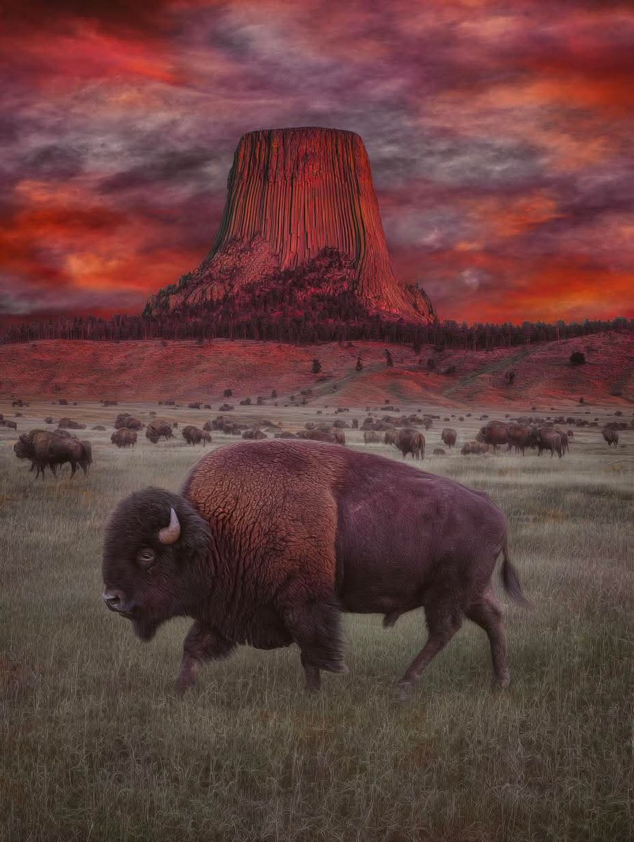 Devils Tower National Monument in Wyoming 😍