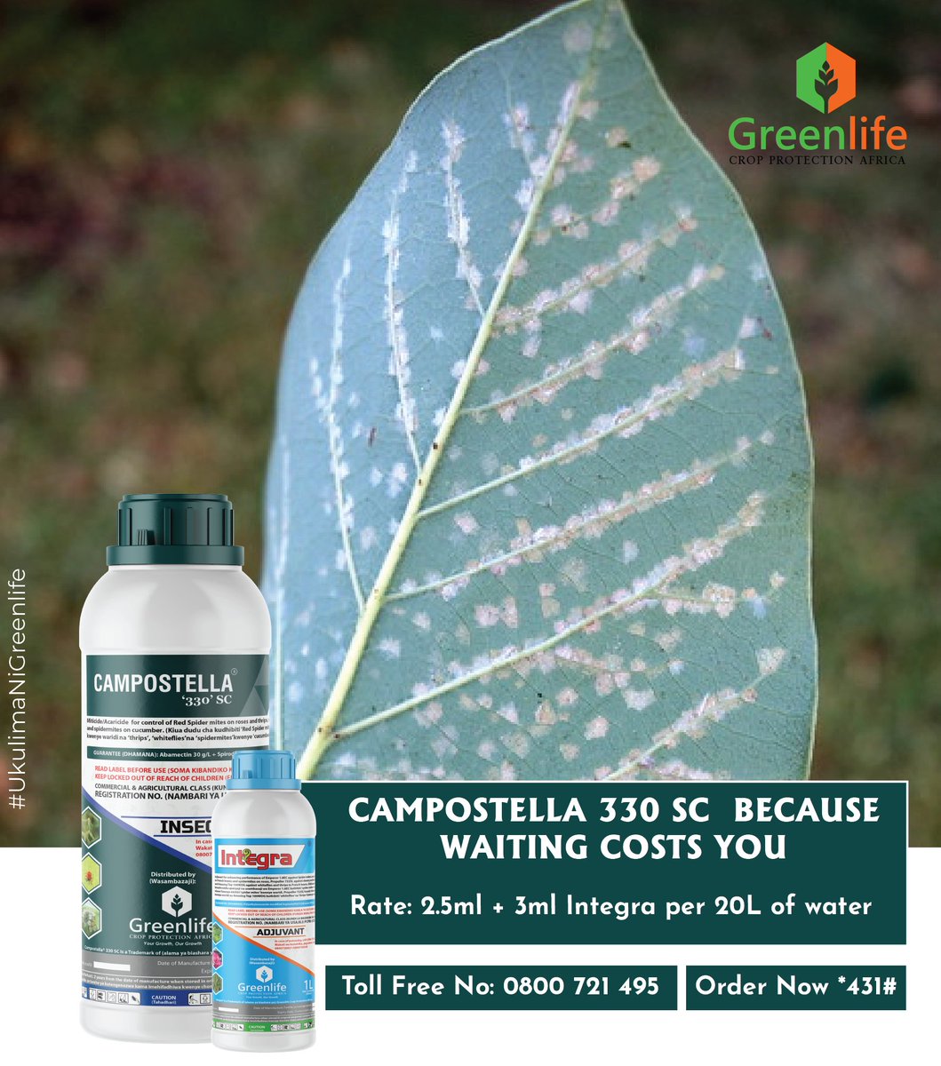 If your fruit trees could speak, they’d scream.
The yellowing. The scorched edges. The tiny dead spots. The sudden leaf drops. That’s not the weather, it’s a full-blown attack by persea mites.
And here’s the brutal truth: the longer you wait, the more you lose. These microscopic