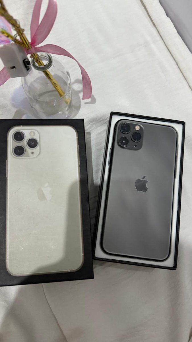 saa 🐬 tweet media