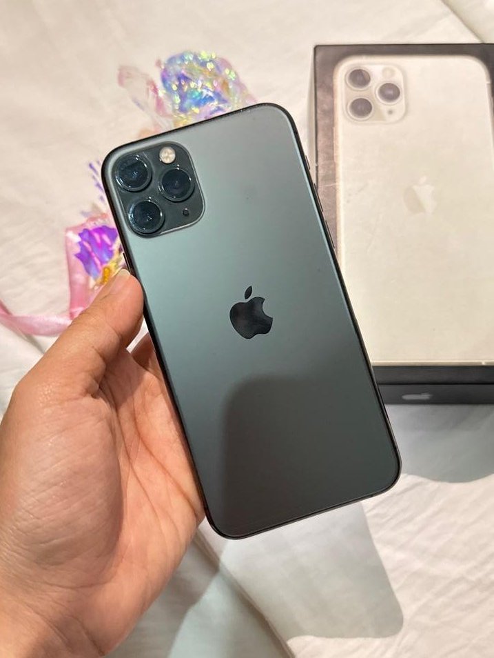 saa 🐬 tweet media