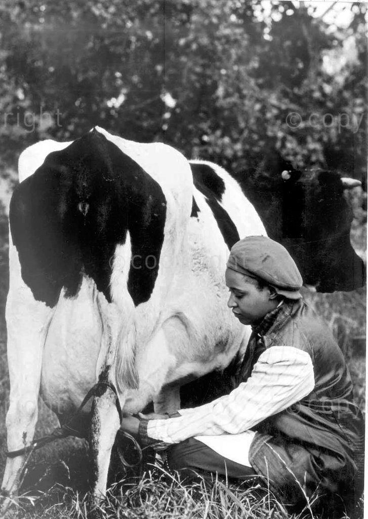 History ZAR tweet media