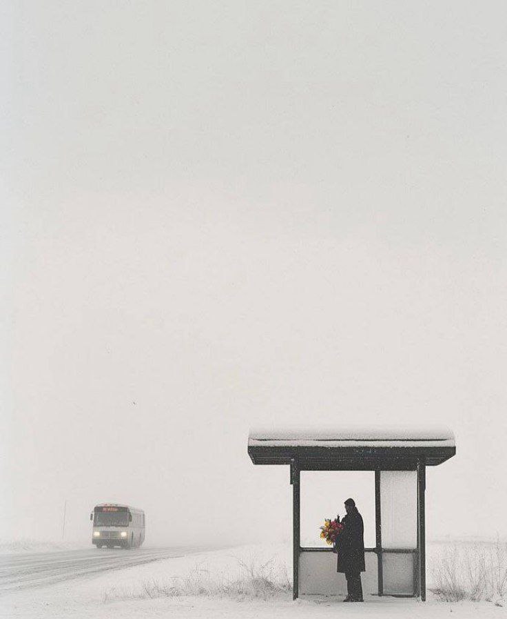 دوست داشتم اینجا از آن اتوبوس پیاده شوی و باقی راه را تا خانه‌ی گرممان قدم بزنیم...