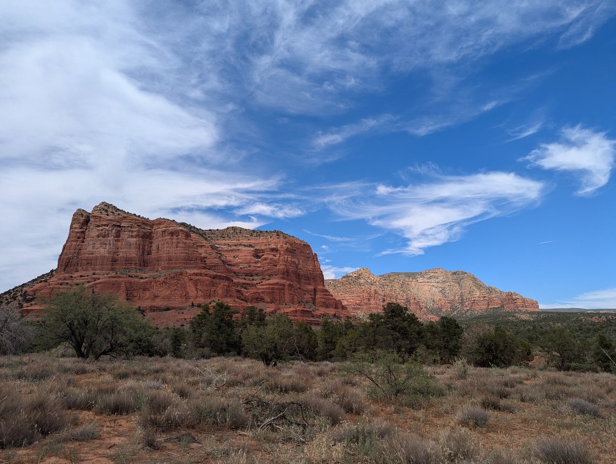 Soapbox Liberal tweet media