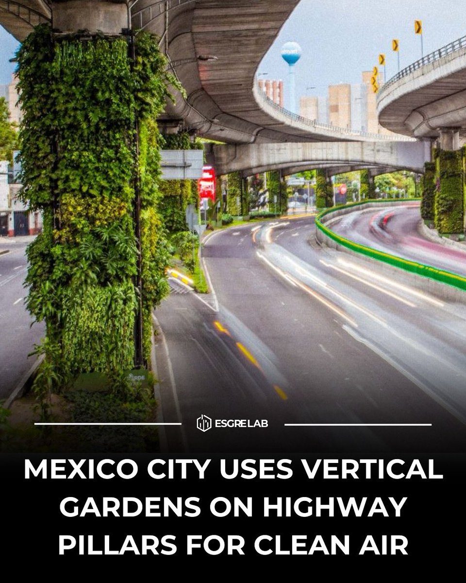 esgrelab's tweet photo. Mexico City is tackling air pollution by installing vertical gardens on highway pillars. These living walls filter pollutants, reduce heat and noise, and bring greenery to urban spaces. Using a hydroponic system, the gardens require minimal maintenance and no soil. https://t.co/l0SUufxsbW
