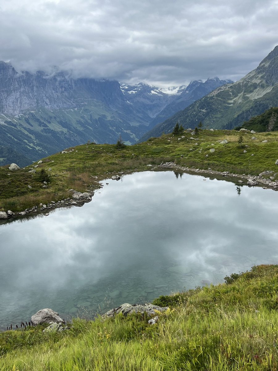 A veces lo más valiente que puedes hacer es soltar.
#FelizMartes