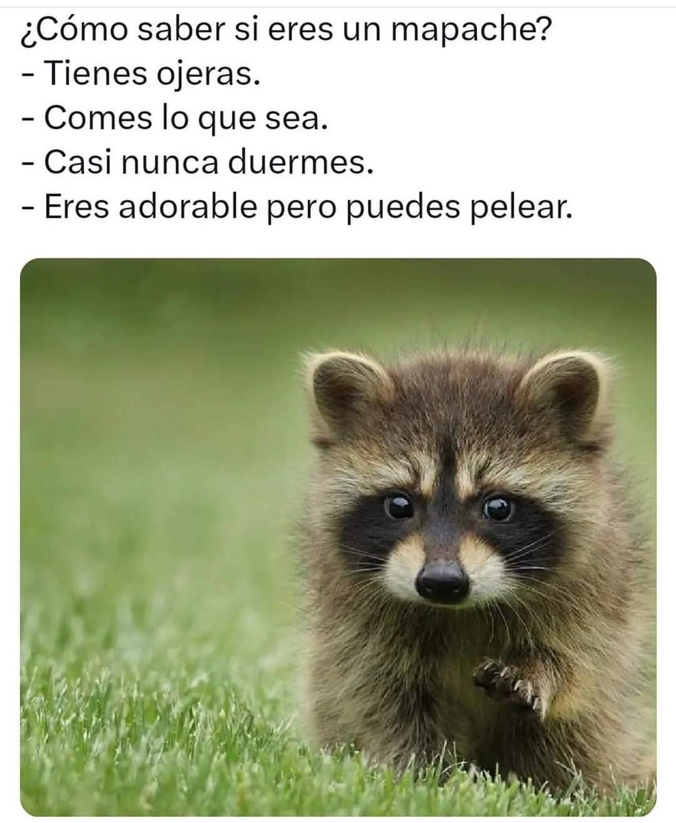 ymuchosmemes's tweet image. 