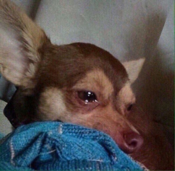 I used to write unemployment as a point in Exams but now I can see how strong it was😒.