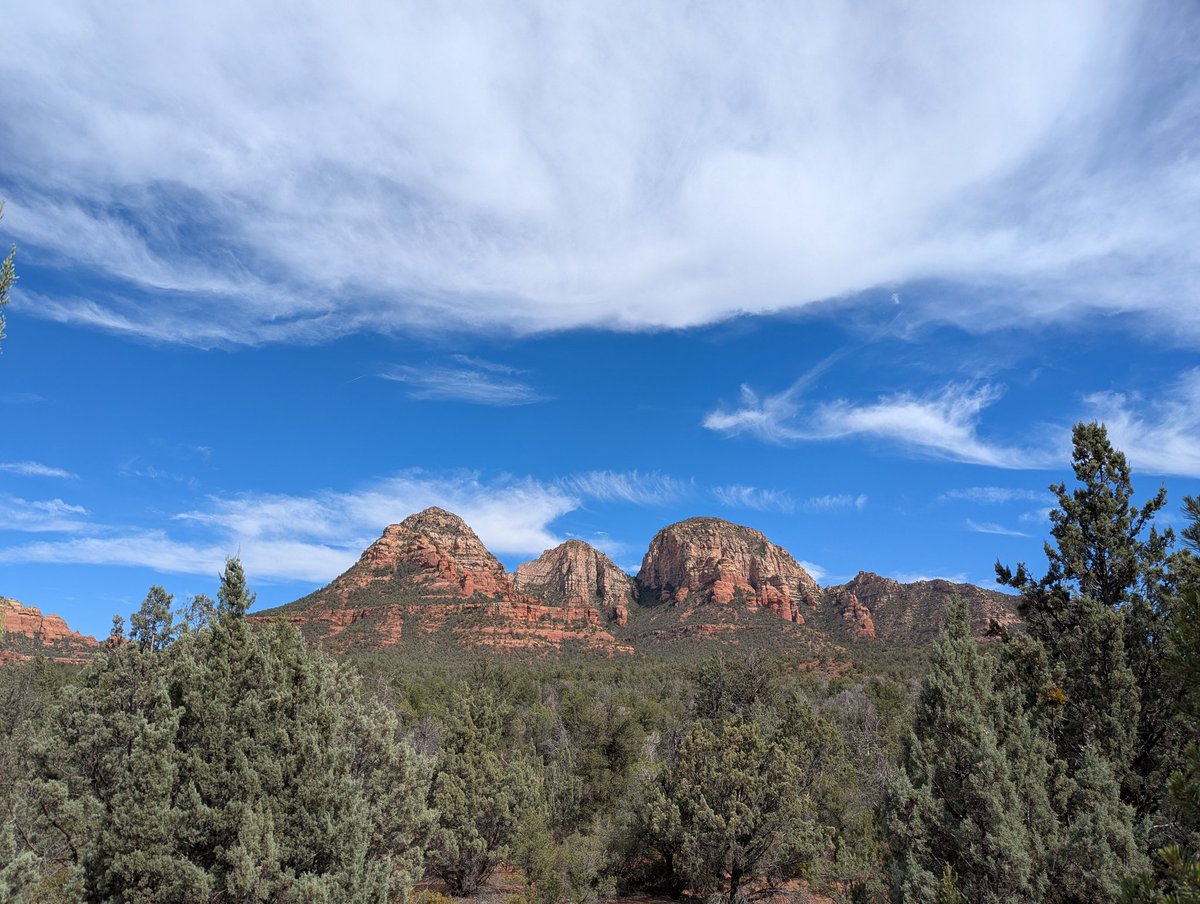 Soapbox Liberal tweet media