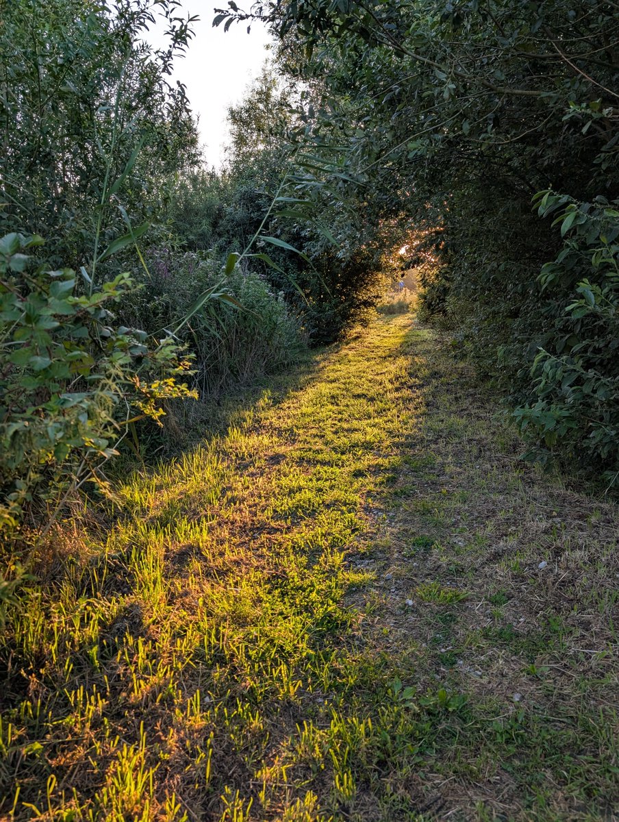 Alweer een heerlijke wandeling achter de rug. De energie komt echt terug. Geeft echt een heel goed gevoel. Vandaag even van alles wat. Klusjes, werk, rustig aan doen. Dus genieten.