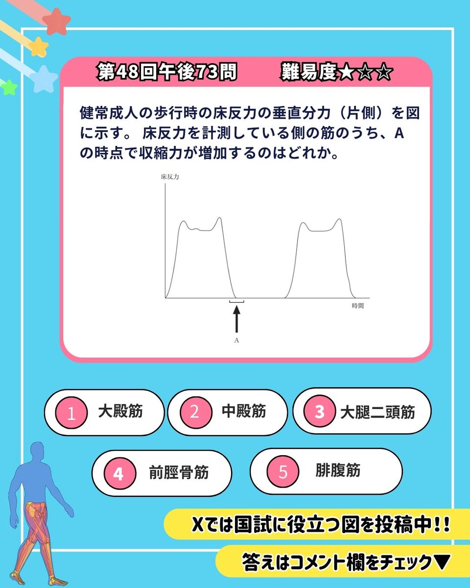 動作分析 -基礎から応用まで- 71WWEQchtwL._AC_UF350,