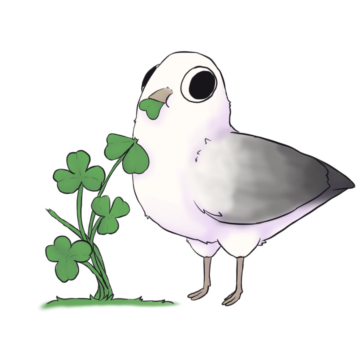 Cotton 🕊️ นกน้อยผู้หิวโหย tweet media