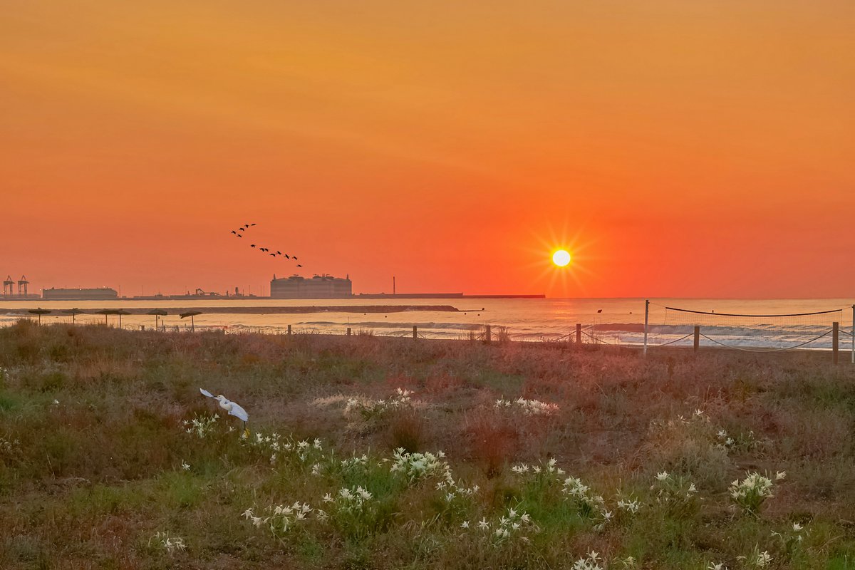Álex Muñoz 📷 ☀🦇 💯 🧡 (@alexmuozgarc) on Twitter photo #BonDia 🌞
#BuenosDías #cielo #despejado al #amanecer en la #playa de #Puçol #Valencia
<a href="/MNievesSanchez1/">MNieves Sanchez 🌼⛅🌞🌛🌈📸</a> <a href="/rasalvi49/">Ramon Salvi</a> <a href="/xusvalencia/">Jesús🦇Martínez📸</a> <a href="/minervagra/">Minerva GG</a> <a href="/Pauquechu/">Quechu</a> <a href="/anamaria190977/">Ana María Herrero</a> <a href="/willgualas/">🇪🇸GUI🇪🇸</a> <a href="/sibilafc/">Silvia Ferrer</a> <a href="/meteocastuera/">Álvaro Hurtado ™ ⛈️ 🌬☔️⚡️📸📹</a> <a href="/RAM_meteo/">RAM: Revista del Aficionado a la Meteorología</a> <a href="/ame_asociacion/">AME Asociación</a> <a href="/MeteoSE/">AMETSE</a> <a href="/ecazatormentas/">Cazatormentas</a> #BonDia 🌞
#BuenosDías #cielo #despejado al #amanecer en la #playa de #Puçol #Valencia
<a href="/MNievesSanchez1/">MNieves Sanchez 🌼⛅🌞🌛🌈📸</a> <a href="/rasalvi49/">Ramon Salvi</a> <a href="/xusvalencia/">Jesús🦇Martínez📸</a> <a href="/minervagra/">Minerva GG</a> <a href="/Pauquechu/">Quechu</a> <a href="/anamaria190977/">Ana María Herrero</a> <a href="/willgualas/">🇪🇸GUI🇪🇸</a> <a href="/sibilafc/">Silvia Ferrer</a> <a href="/meteocastuera/">Álvaro Hurtado ™ ⛈️ 🌬☔️⚡️📸📹</a> <a href="/RAM_meteo/">RAM: Revista del Aficionado a la Meteorología</a> <a href="/ame_asociacion/">AME Asociación</a> <a href="/MeteoSE/">AMETSE</a> <a href="/ecazatormentas/">Cazatormentas</a>