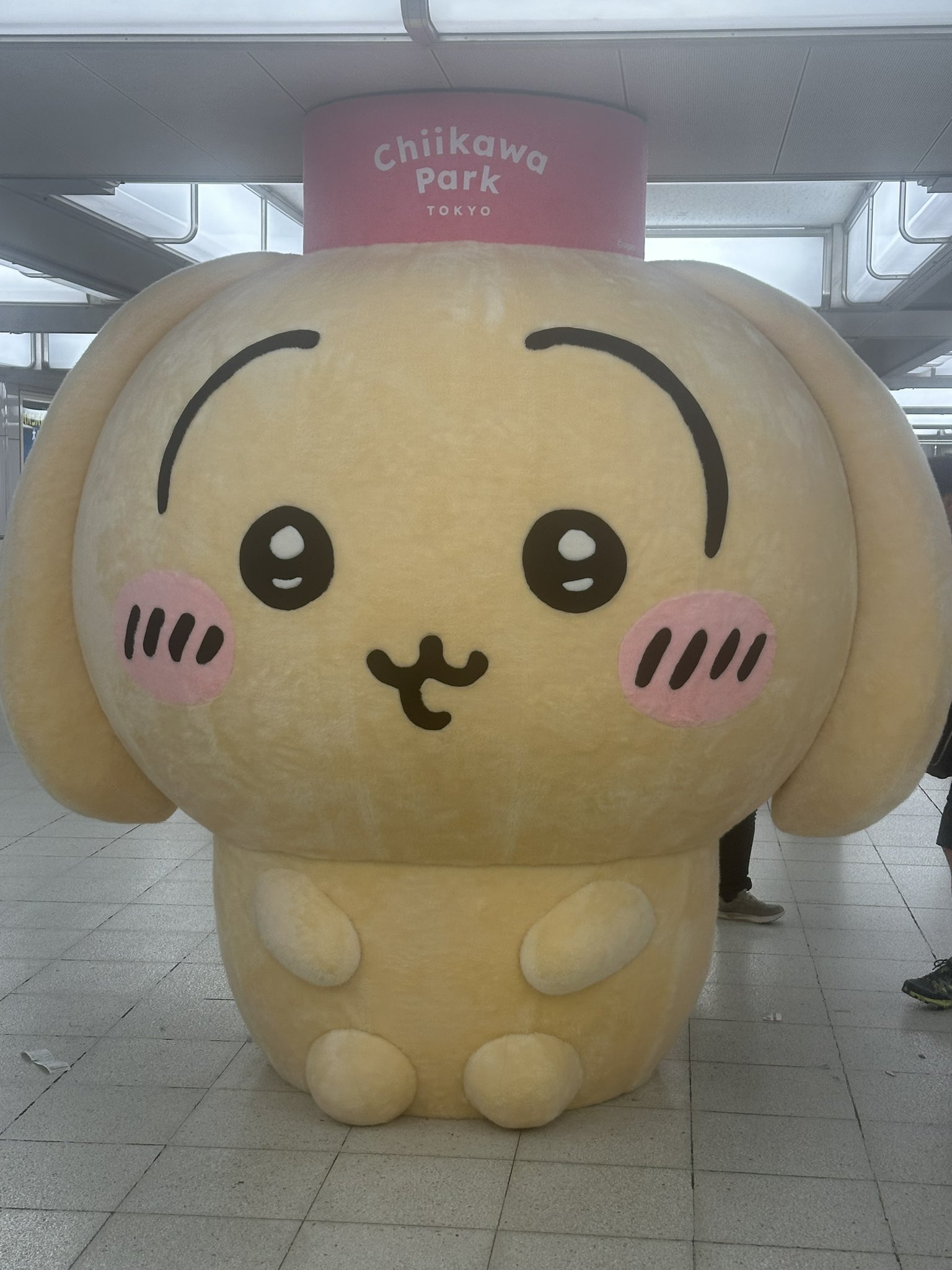 うさぎさん様 ましゅ on X: 