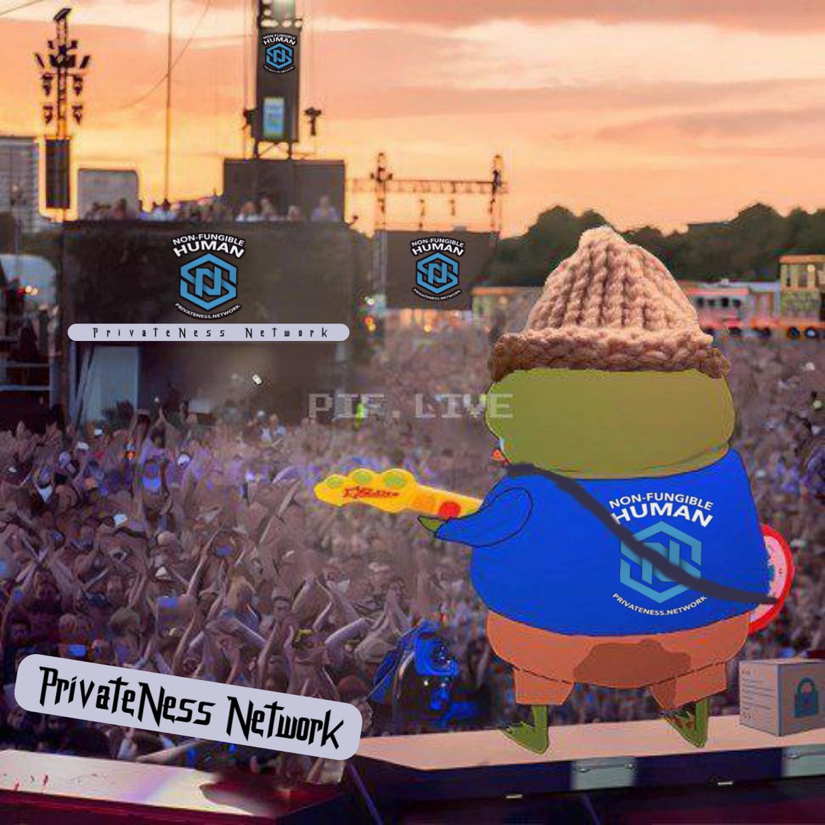PrivateNess Network tweet media