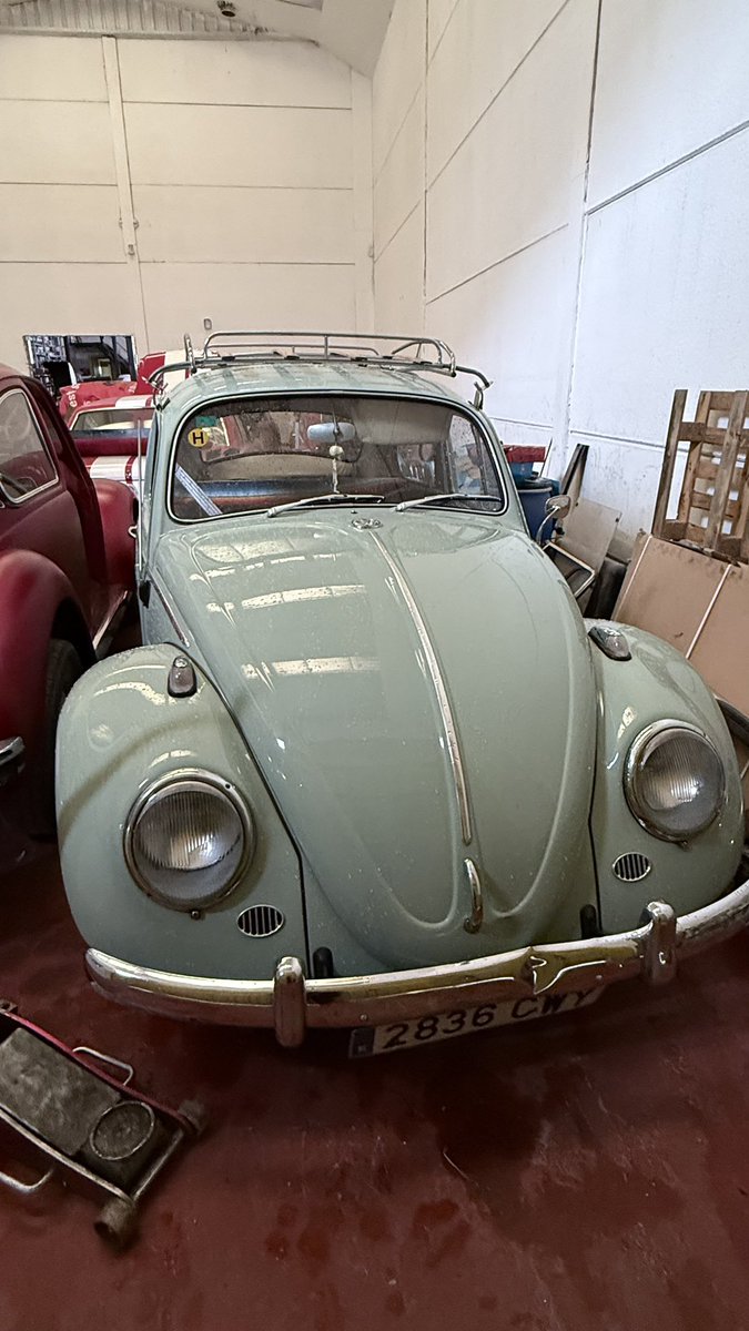 alzuid's tweet image. Hoy se cumplen 5 meses desde que un transportista irresponsable abolló mi coche, he hecho todo lo que me han pedido que haga, esperar el perito, pagar yo, pasar la factura, escribir muchos correos y @Reale_Seguros sigue sin devolverme el dinero. Sigo esperando