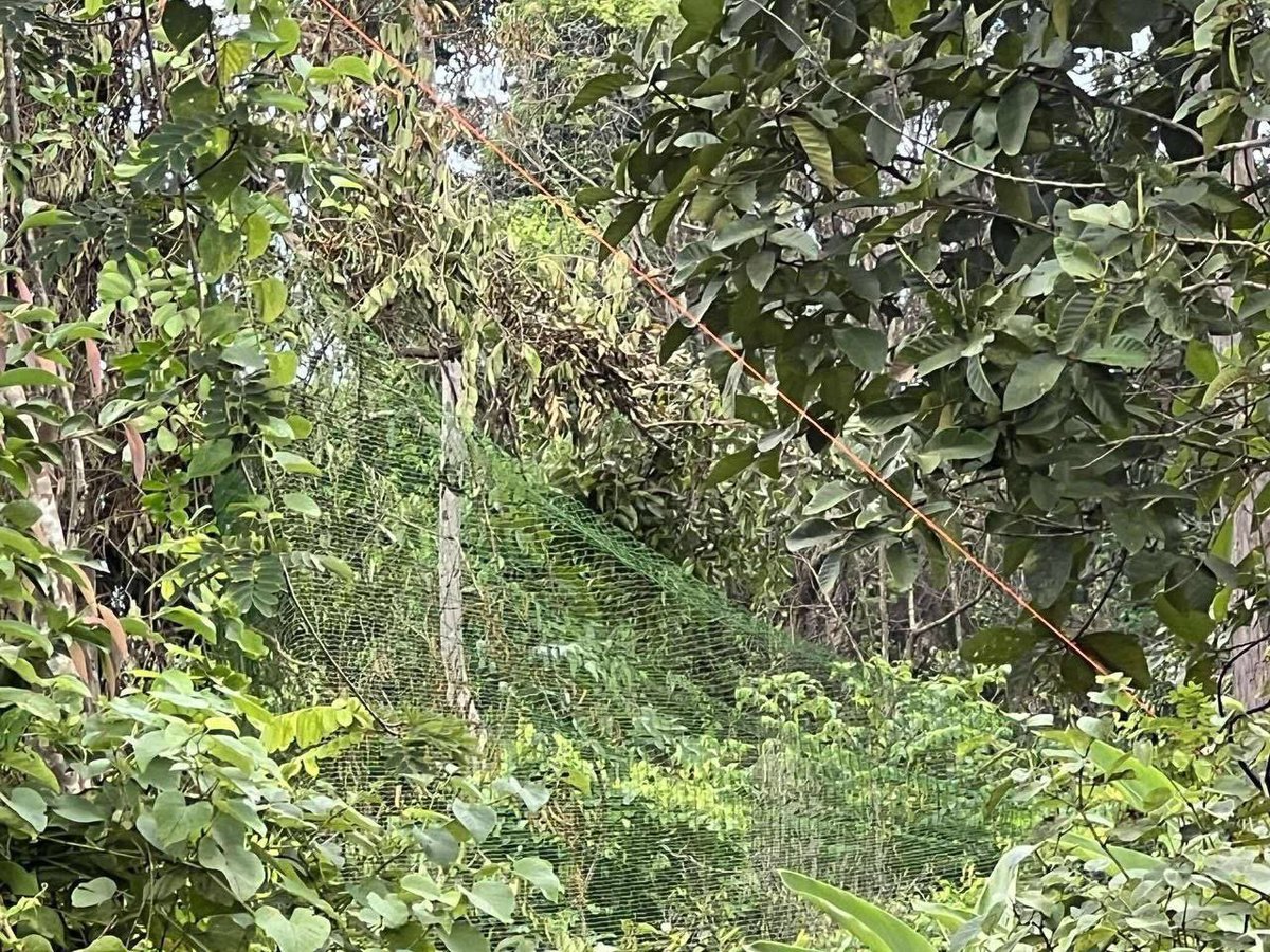 MinistryofInfo1's tweet image. #Cambodia urged #Thai military to remove barbed wire and heavy machinery from An Ses area, which lies within Cambodian territory, said Maly Socheata, spokesperson for the National Defense Ministry in the second briefing on August 5, 2025