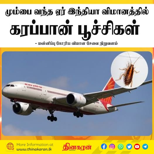 ThinakaranLK's tweet image. மும்பை வந்த ஏர் இந்தியா விமானத்தில் கரப்பான் பூச்சிகள்
- மன்னிப்பு கோரிய விமான சேவை நிறுவனம்

மேலதிக விபரம் &amp;gt;&amp;gt;&amp;gt; thinakaran.lk/?p=145042

#Cockroaches #Plane #AirIndia #Apology #MumbaiFlight  #Thinakaran #SriLanka #LKA #SL
