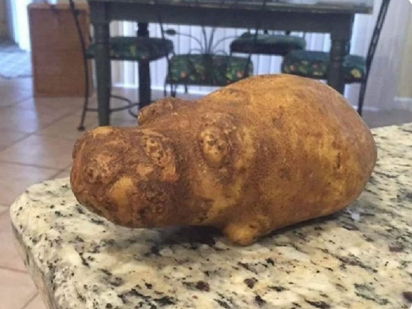 Instablog9ja tweet media