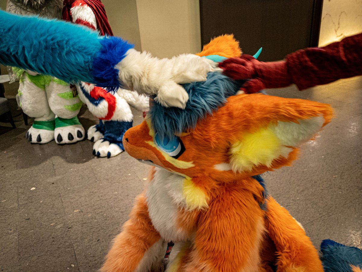 Proceed with petting the do...wait no, dragon?! 😳