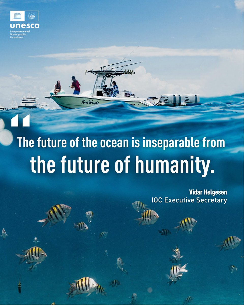 🔵 This isn’t just about ecosystems — it’s about economies, communities, and generations.

Everything depends on the ocean.
Everything depends on us.

#OceanScience #OceanAction