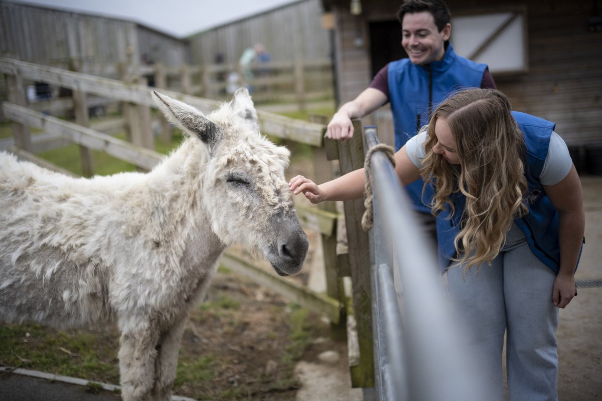 Red Funnel (IoW Ferries) (@redfunnelferry) on Twitter photo Family fun day out on a budget... for under £10 🏝
We asked Robbie Lane from <a href="/IsleofWightGuru/">Isle of Wight Guru</a> for his favourite days out on a budget, for a family of four spending under £10.👨👨👦👦
Check out his recommendations 👉 eu1.hubs.ly/H0m95xy0
#IsleofWight #IOW #RedFunnel <a href="/iowdonkeys/">IOW Donkey Sanctuary</a> Family fun day out on a budget... for under £10 🏝
We asked Robbie Lane from <a href="/IsleofWightGuru/">Isle of Wight Guru</a> for his favourite days out on a budget, for a family of four spending under £10.👨👨👦👦
Check out his recommendations 👉 eu1.hubs.ly/H0m95xy0
#IsleofWight #IOW #RedFunnel <a href="/iowdonkeys/">IOW Donkey Sanctuary</a>