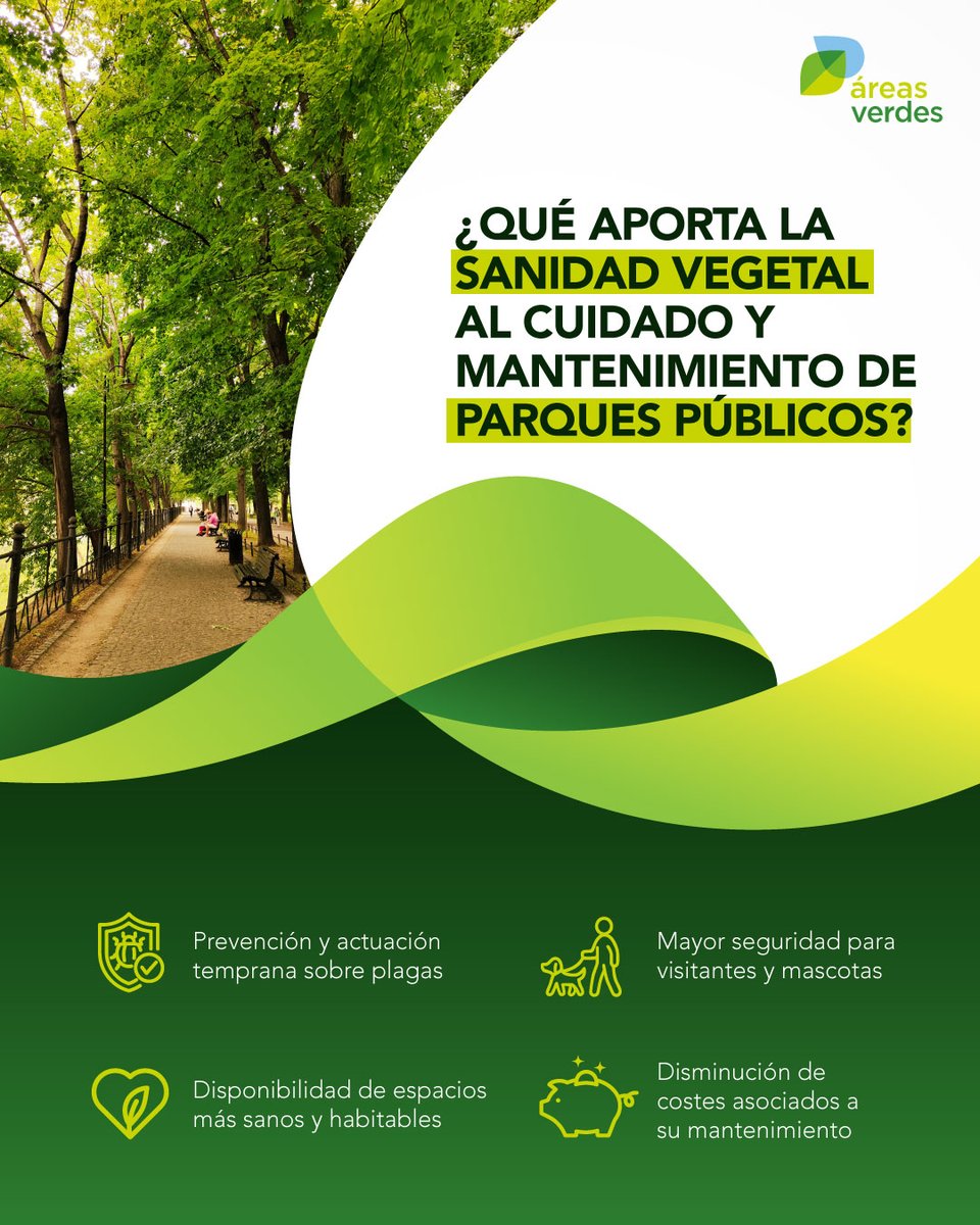 En numerosas ocasiones no se le otorga el valor que merece a la salud y mantenimiento óptimo de los parques públicos urbanos 🌳

Descubre con nosotros por qué es esencial la supervisión y aplicación de sanidad vegetal 💚 en las distintas áreas verdes de nuestras ciudades.