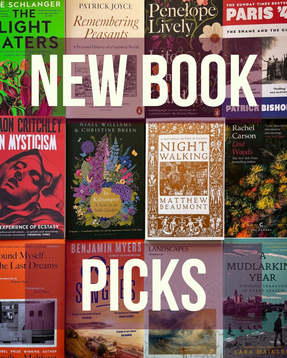 Sherlock_Pages's tweet image. A whole host of new books are available now on sherlockandpages.com and in our Frome shop. 

Enjoy browsing :-)