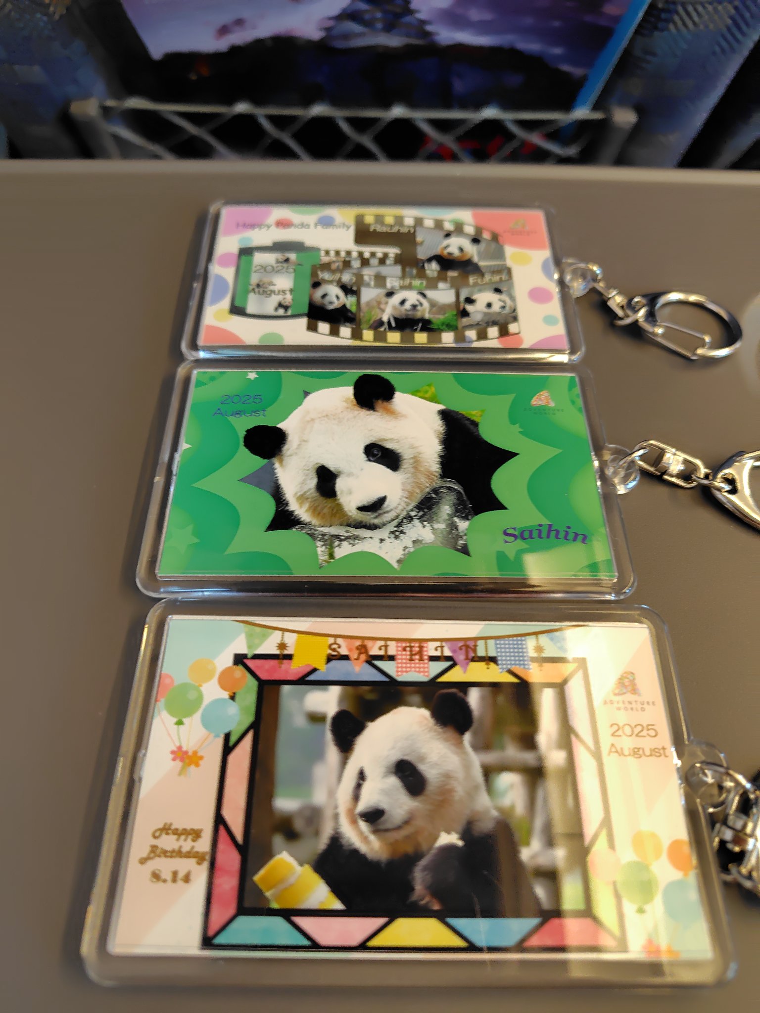 アドベンチャーワールド　写真ホルダー chica on X: 