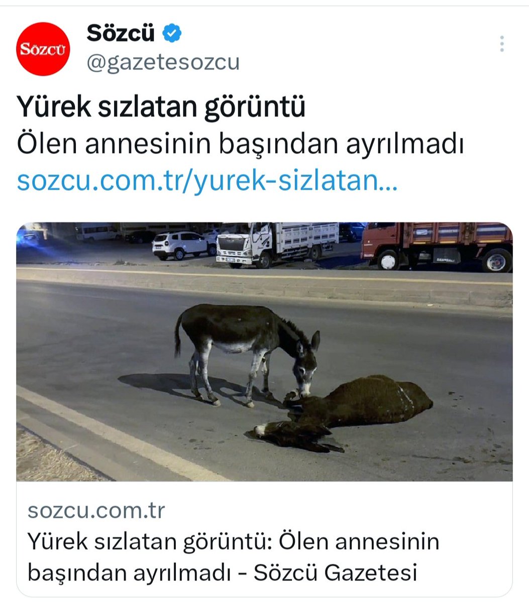 Kim demiş Eşşekler duygusuzdur.