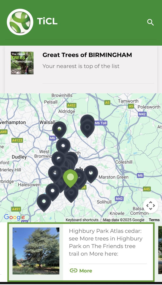 TiCLme's tweet image. It’s a #GreatTree, indeed one of the Great Trees of Birmingham 🏆🌳

#GreatTreesof #Birmingham

See our map of them here:

ticl.me/great-trees-of…