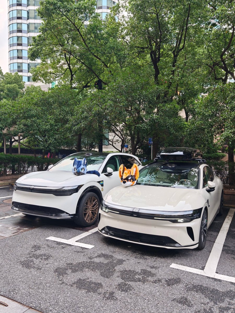 ZEEKR➕FlyPaws❗❗