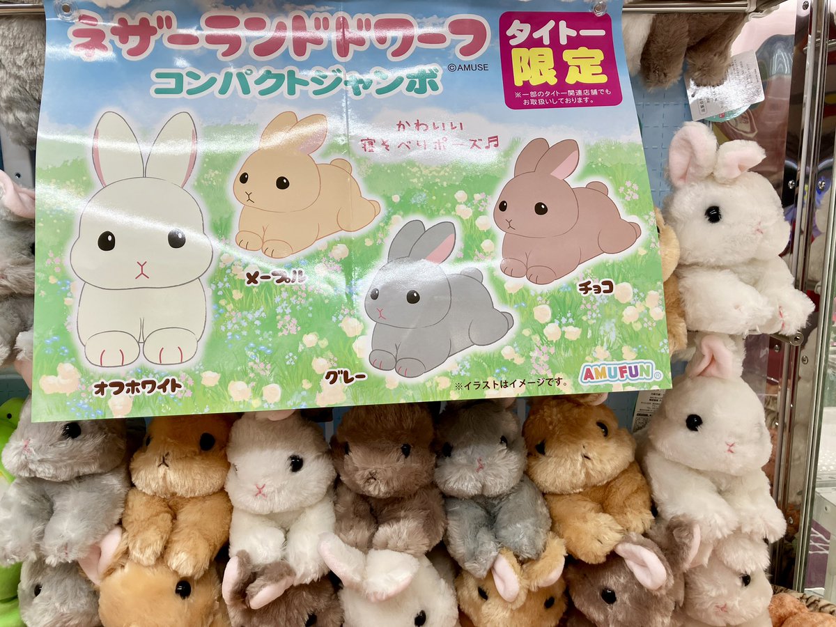 ⭐️新景品⭐️ #ネザーランドドワーフ コンパクトジャンボぬいぐるみ