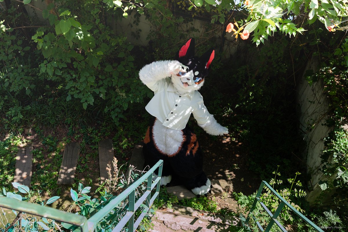 #Fursuit
🐶☘️💚