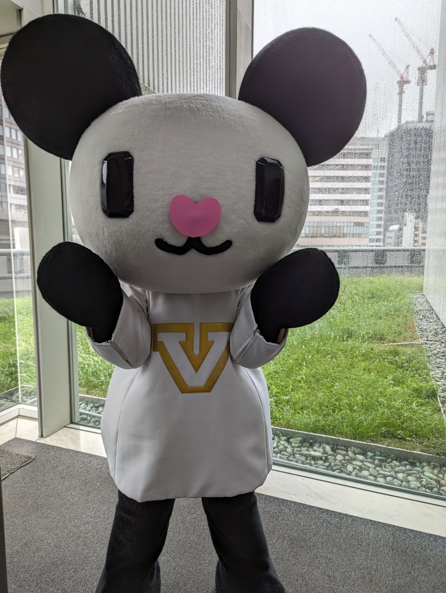 はにちゃんページ♡スーちゃん コウペンちゃん わーるど – コウペンちゃん はなまるストア