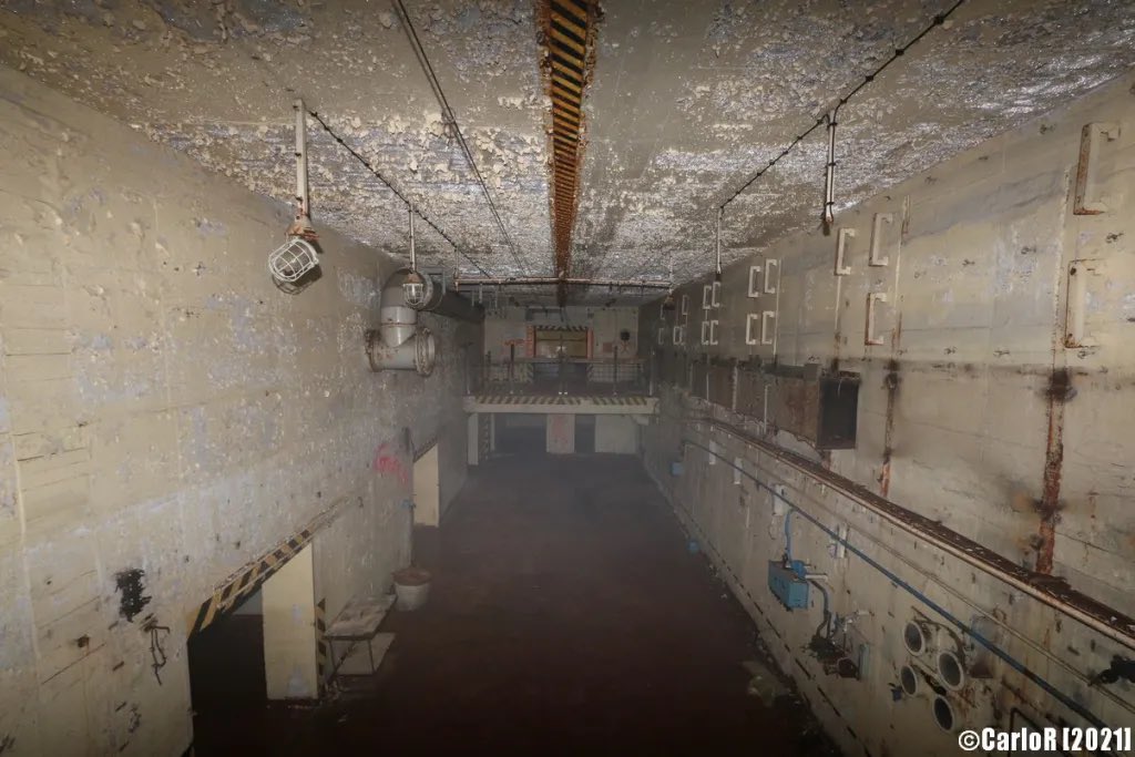 MarciozMusic's tweet photo. MARCIOZ LIVE AGAIN AUGUST 23RD IN A SOVIET NUCLEAR BUNKER. SÓ PORRADEIRO NESTA CACETA💣🧨🇧🇷 https://t.co/zCpEjhuDiW