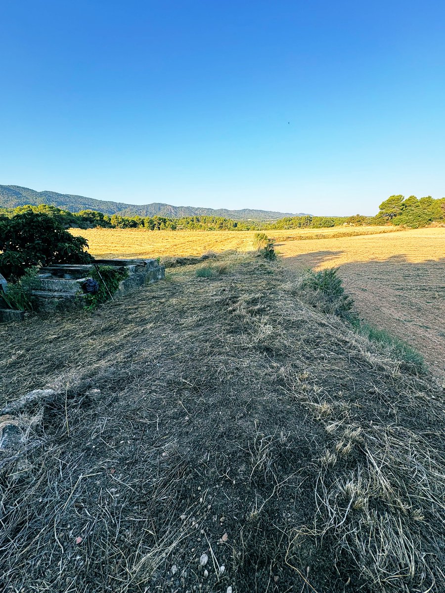 #BonDia #Lleida feinejant al tros…🪻
