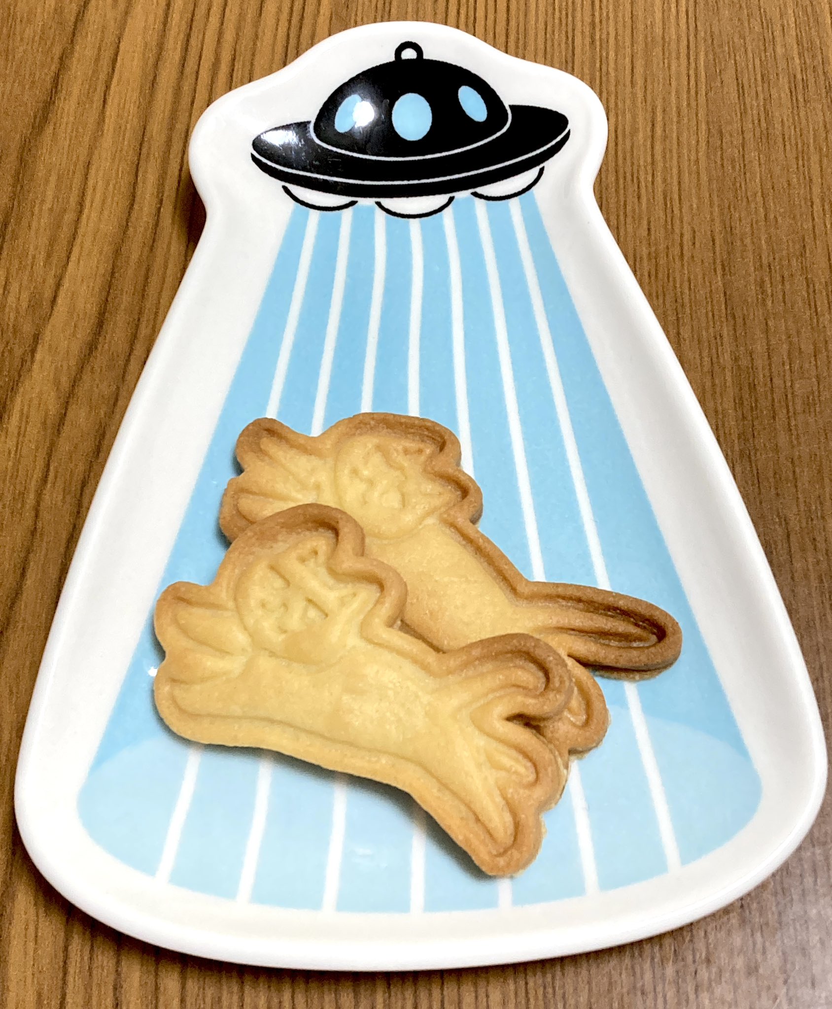 オスク手作りクッキーまぜっこ大(専用) 手作りクッキー詰め合わせ 9袋 多機能型事業所かさおか《45日