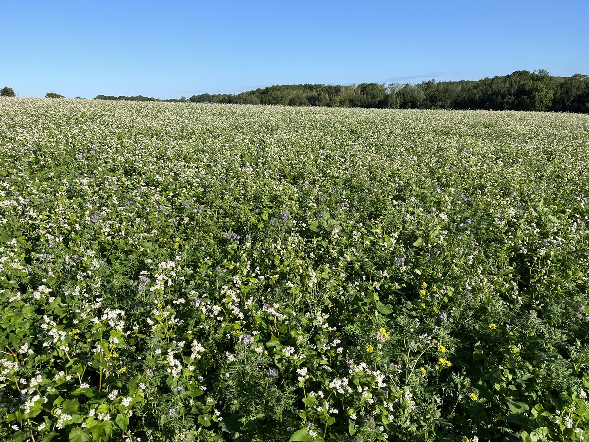 Tom Jewers tweet media