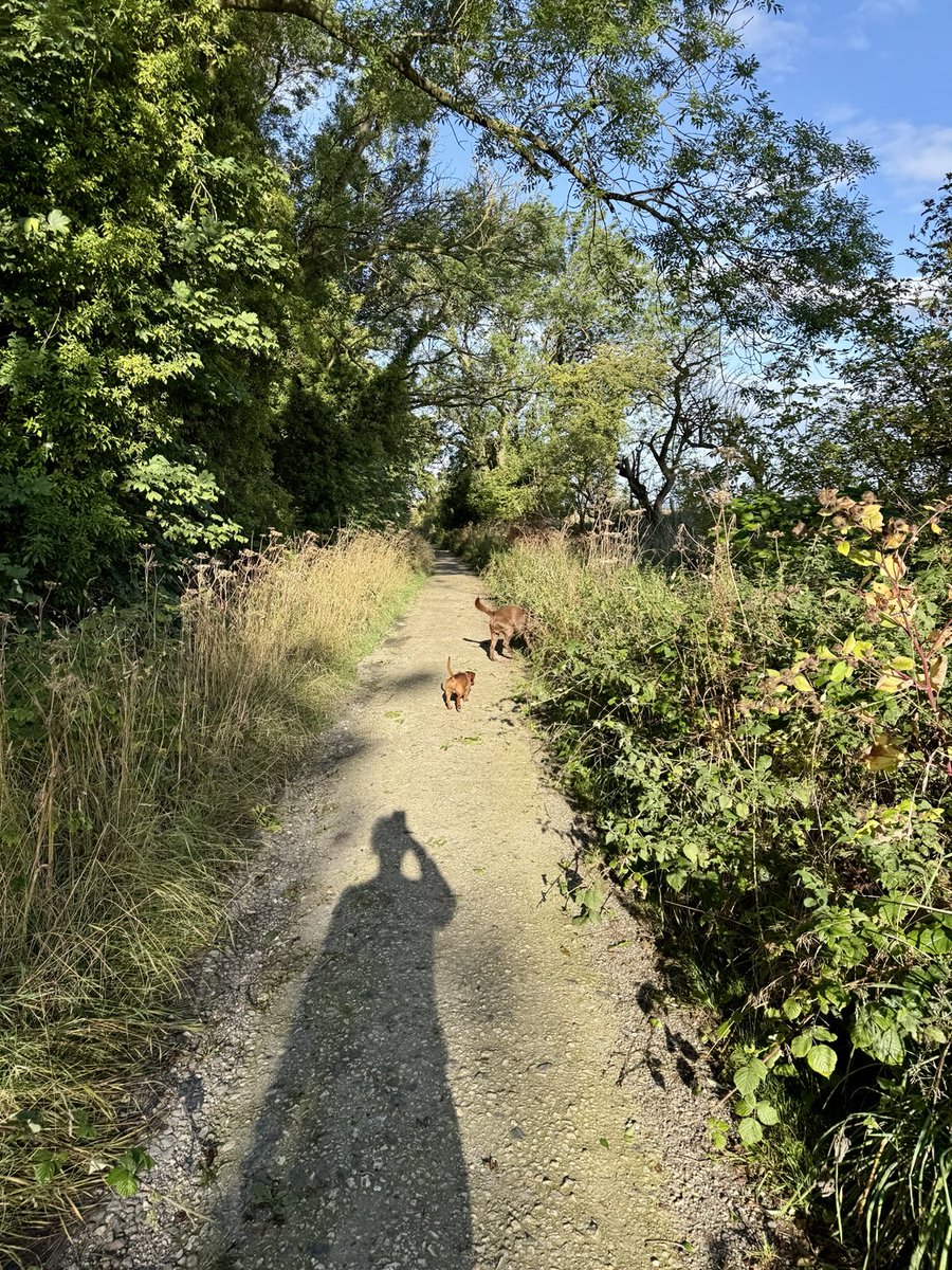 hawley_caroline's tweet photo. What a beautiful day for #walkbeforework https://t.co/g7CP0FmYh2
