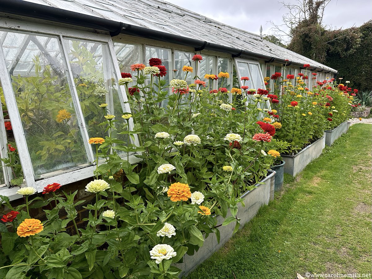 Caroline Mills (@carolinemills99) on Twitter photo Plenty of vibrant colour to brighten up leaden skies <a href="/GoodnestonePark/">Goodnestone Park</a> Gardens in east #Kent. Fifteen acres of gardens including woodland, walled kitchen gardens + permissive footpaths in the wider estate to enjoy. The hydrangeas are an ethereal blue right now. #gardens #gardening Plenty of vibrant colour to brighten up leaden skies <a href="/GoodnestonePark/">Goodnestone Park</a> Gardens in east #Kent. Fifteen acres of gardens including woodland, walled kitchen gardens + permissive footpaths in the wider estate to enjoy. The hydrangeas are an ethereal blue right now. #gardens #gardening