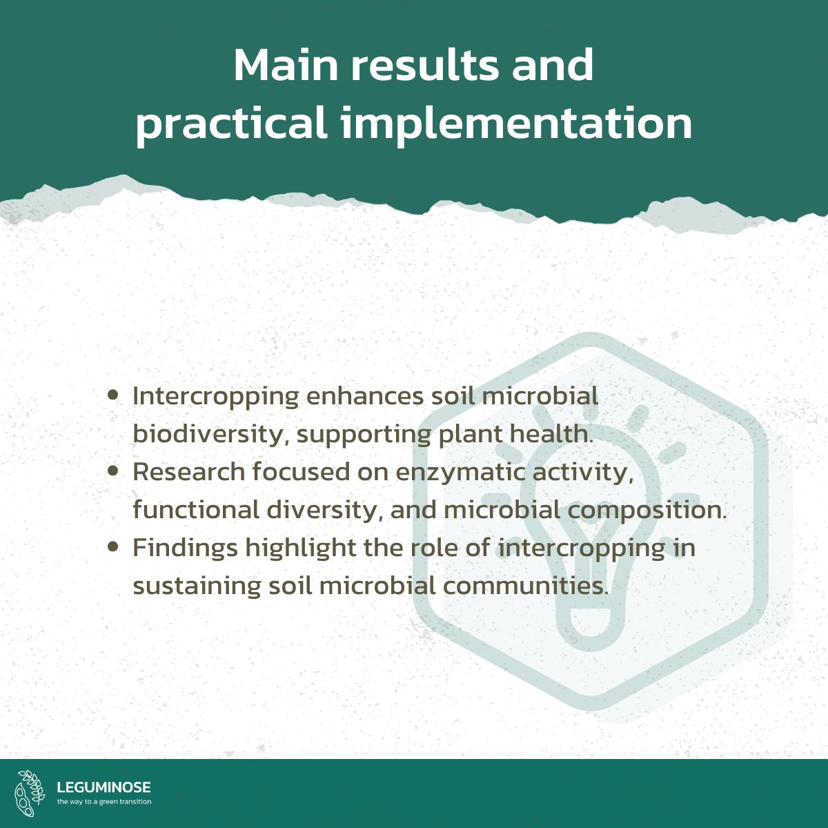 🧵 4/4
A diverse soil microbiome means healthier crops and better yields.
Intercropping supports this biodiversity, helping build resilient and sustainable food systems.
📄 Read the factsheet: leguminose.eu/wp-content/upl…