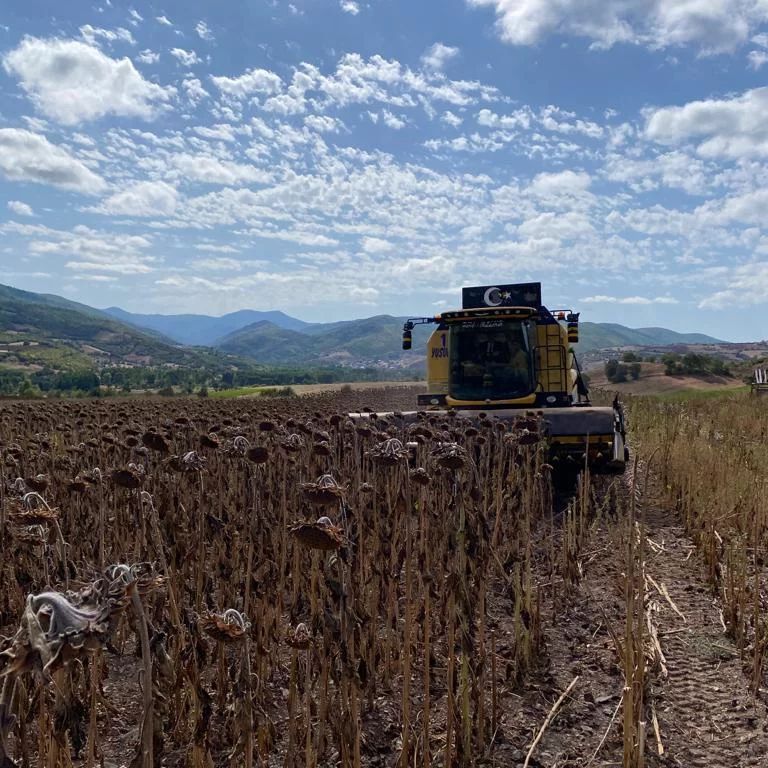✅Sezonun ilk Ayçiçek mahsulleri Karacakılavuz Mahallesinden Ali GILBAZ ve Ahmet PEHLİVAN tarafından, Borsamız Ürün Tahlil Laboratuvarına getirildi.
✅Yeni hasat sezonunun Borsamız üyelerine, üreticilerimize, bölgemize ve Ülkemize hayırlı ve bereketli olmasını dileriz.
