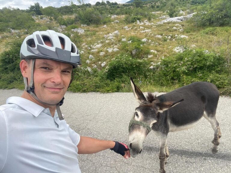 (VIDEO) Kje so naše ladje? – Janša strnil vtise s tabora, Logar se javlja iz “zaledja”
strogo-zaupno.si/novice/video-k…