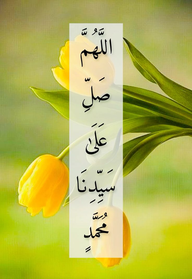 âªðððððððð ðŠðððð⪠(@ghz97) on Twitter photo #sXpâXð¢
سٹارز اÛکس ٟرÙÙ
ÙØŽÙ
<a href="/Ghz97/">âªðððððððð ðŠððððâª</a> <a href="/_oztr/">.</a>
<a href="/1lalh/">Muhammad Hilal</a>
<a href="/_1rha/">ؚاؚا Ú©Û ÙØ§ÚÙÛ</a> <a href="/Trq88/">âïžâžðÎ±ÉŸÎ¹Ï ðÏ
ÉŸÆÎ±È¥Î±à¿</a>
<a href="/oz2au/">özleâïžîš#Nika -àœŒ ð«¶ð
±àœŒ-</a>
<a href="/Fat9T/">Arshiað¥ð</a> <a href="/Ghz21/">âðð¡ðð³ðð¥ð ðððððâ</a>
<a href="/_i_tl/">HK</a> <a href="/ait9t/">ê§FarahðïžáŽŸáµáµáŽŸáµÊ·áµÊ³</a>
<a href="/2li1e/">®Liliîš</a> <a href="/1elrn/">îšLee</a>
<a href="/4mr88/">Aamir Hayat Awan</a>
<a href="/Hfz_2/">Abdul Hafeez</a> <a href="/_lub1/">â¿ððððð ðšððâ¿</a>
<a href="/A_2SF/">S Rahe</a>
<a href="/Triq25/">‹ððªððð¢ð¢ðð ððð§ððŠâ€ž</a> <a href="/Oz1au/">özleâïžîš#Nika -àœŒ ð«¶ð
±àœŒ-</a>
<a href="/9oshg/">ðž ÙÙØŽÛðž</a>
<a href="/db7qp/">Rose</a> <a href="/IK92K/">ðŒð¡ð</a>
<a href="/Hmid71/">‥ððð¢ðð ððð¯ðð‣</a>
<a href="/Frhn42/">â
ðð§ððð£ ðŒðð¢ððâ
</a> <a href="/Khld36/">âðððð¡ðð ððªðšððð£âⳌ</a>
<a href="/Shmi40/">ê§àŒºðððððððð§àŒ»ê§</a>
<a href="/m80mh/">Muhammad Hilal</a> <a href="/anm40/">Anam Kanwal</a>
<a href="/Sc2017W/">SC2017</a>
ð«<a href="/Ghz_3/">⊠ðððððððð ððððð âŠ</a>
<a href="/fthzr0/">FaithfulZahra_33</a> <a href="/1ONOR/">ð
œïž ðïž</a>
âXð¢
<a href="/n_oo_r7/">Ù
Ø§Û ÙÙØ±ð«</a> <a href="/ISI0013/">Itx_013.</a> #sXpâXð¢
سٹارز اÛکس ٟرÙÙ
ÙØŽÙ
<a href="/Ghz97/">âªðððððððð ðŠððððâª</a> <a href="/_oztr/">.</a>
<a href="/1lalh/">Muhammad Hilal</a>
<a href="/_1rha/">ؚاؚا Ú©Û ÙØ§ÚÙÛ</a> <a href="/Trq88/">âïžâžðÎ±ÉŸÎ¹Ï ðÏ
ÉŸÆÎ±È¥Î±à¿</a>
<a href="/oz2au/">özleâïžîš#Nika -àœŒ ð«¶ð
±àœŒ-</a>
<a href="/Fat9T/">Arshiað¥ð</a> <a href="/Ghz21/">âðð¡ðð³ðð¥ð ðððððâ</a>
<a href="/_i_tl/">HK</a> <a href="/ait9t/">ê§FarahðïžáŽŸáµáµáŽŸáµÊ·áµÊ³</a>
<a href="/2li1e/">®Liliîš</a> <a href="/1elrn/">îšLee</a>
<a href="/4mr88/">Aamir Hayat Awan</a>
<a href="/Hfz_2/">Abdul Hafeez</a> <a href="/_lub1/">â¿ððððð ðšððâ¿</a>
<a href="/A_2SF/">S Rahe</a>
<a href="/Triq25/">‹ððªððð¢ð¢ðð ððð§ððŠâ€ž</a> <a href="/Oz1au/">özleâïžîš#Nika -àœŒ ð«¶ð
±àœŒ-</a>
<a href="/9oshg/">ðž ÙÙØŽÛðž</a>
<a href="/db7qp/">Rose</a> <a href="/IK92K/">ðŒð¡ð</a>
<a href="/Hmid71/">‥ððð¢ðð ððð¯ðð‣</a>
<a href="/Frhn42/">â
ðð§ððð£ ðŒðð¢ððâ
</a> <a href="/Khld36/">âðððð¡ðð ððªðšððð£âⳌ</a>
<a href="/Shmi40/">ê§àŒºðððððððð§àŒ»ê§</a>
<a href="/m80mh/">Muhammad Hilal</a> <a href="/anm40/">Anam Kanwal</a>
<a href="/Sc2017W/">SC2017</a>
ð«<a href="/Ghz_3/">⊠ðððððððð ððððð âŠ</a>
<a href="/fthzr0/">FaithfulZahra_33</a> <a href="/1ONOR/">ð
œïž ðïž</a>
âXð¢
<a href="/n_oo_r7/">Ù
Ø§Û ÙÙØ±ð«</a> <a href="/ISI0013/">Itx_013.</a>