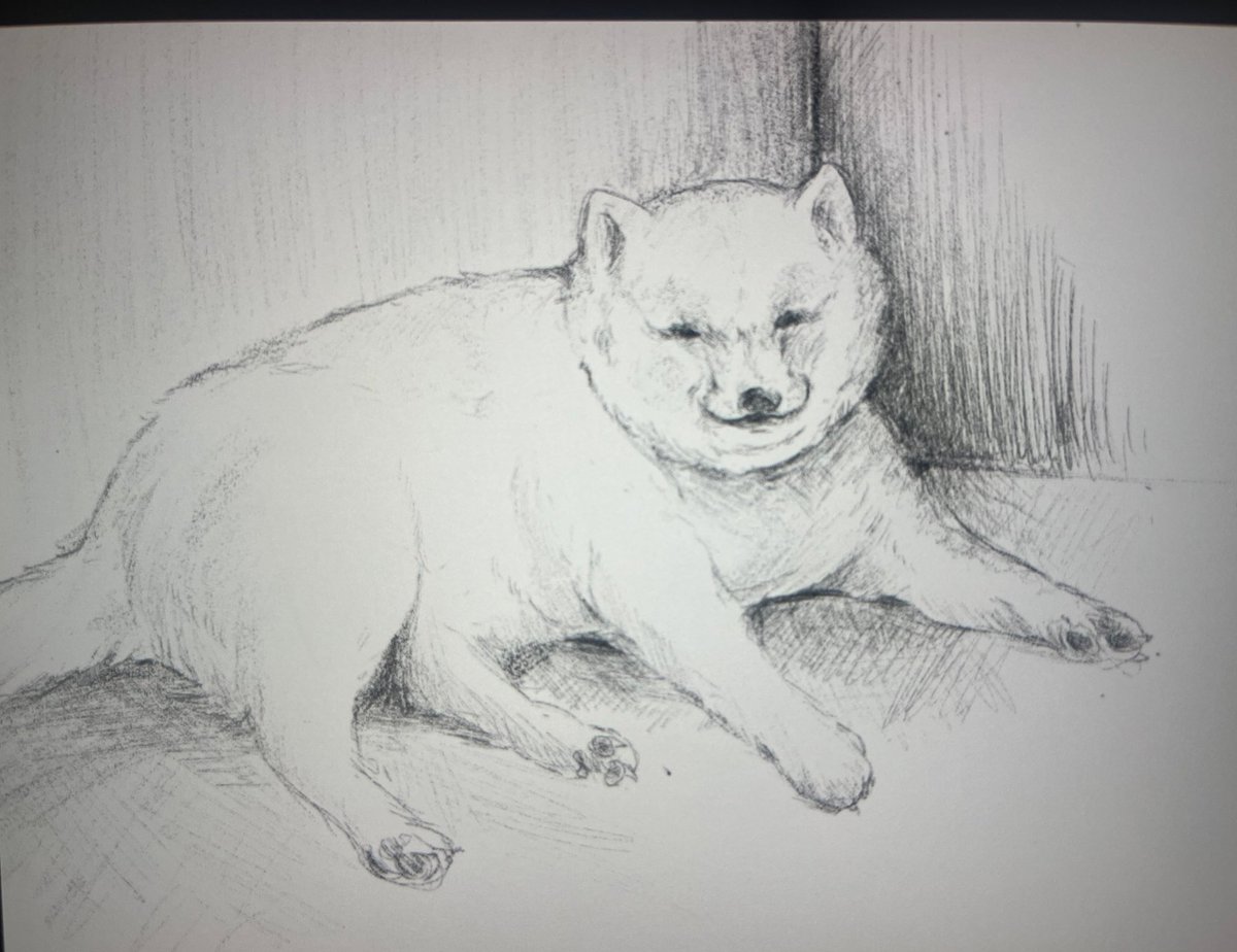 実家の犬描いてるけど、こいつ私の事格下に見すぎていつもこの顔だから、
記憶を頼りに描くとこの顔しか描けない